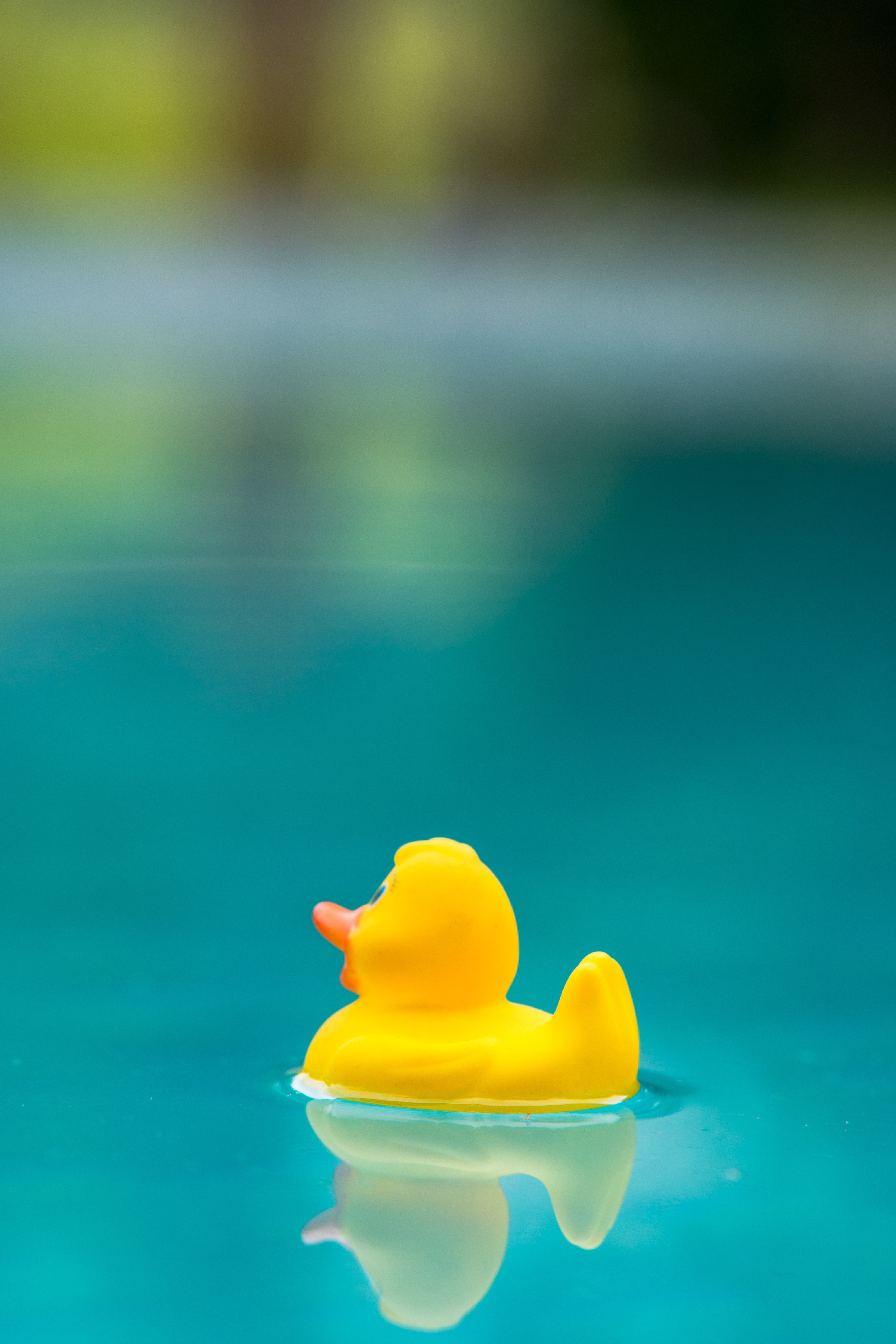 Pure pool water safe for the environment